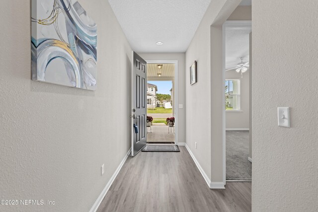 618 Honeycomb Trl, Saint Augustine, FL 32095 - entryway featuring wood finished floors, baseboards, a textured wall, ceiling fan, and a textured ceiling