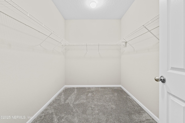 618 Honeycomb Trl, Saint Augustine, FL 32095 - spacious closet with carpet floors