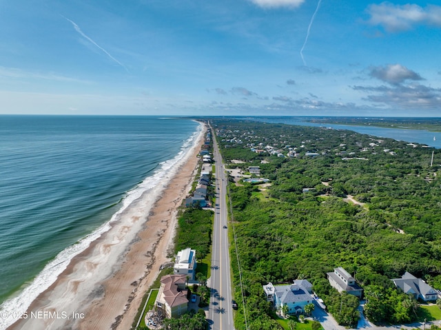 618 Honeycomb Trl, Saint Augustine, FL 32095 - aerial view of expansive beach