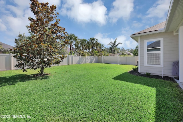 111 Bucktail Ave, Ponte Vedra, FL 32081 - view of yard