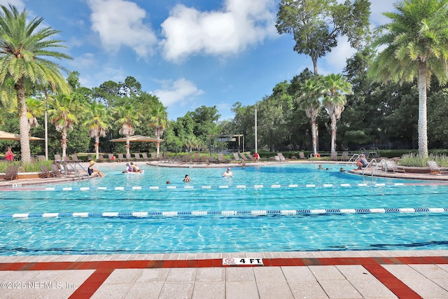 111 Bucktail Ave, Ponte Vedra, FL 32081 - community pool with view of wooded area