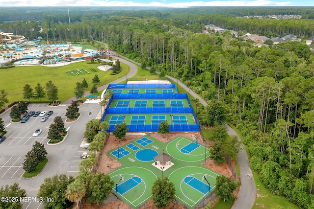 111 Bucktail Ave, Ponte Vedra, FL 32081 - drone / aerial view of a forest