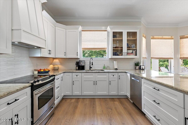 12768 Cattail Pond Cir S, Jacksonville, FL 32224 - kitchen featuring a sink, stainless steel appliances, custom range hood, plenty of natural light, and crown molding