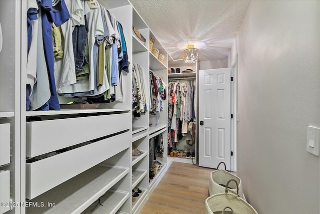 12768 Cattail Pond Cir S, Jacksonville, FL 32224 - walk in closet with wood finished floors