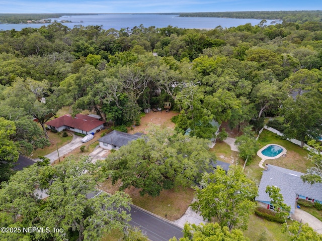 2520 Elbow Rd, Orange Park, FL 32073 - bird's eye view of a nearby body of water and a heavily wooded area