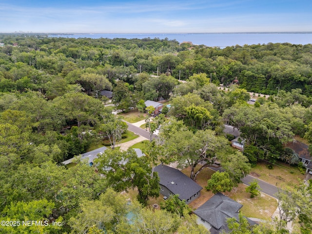 2520 Elbow Rd, Orange Park, FL 32073 - aerial view of property's location featuring a heavily wooded area and a large body of water