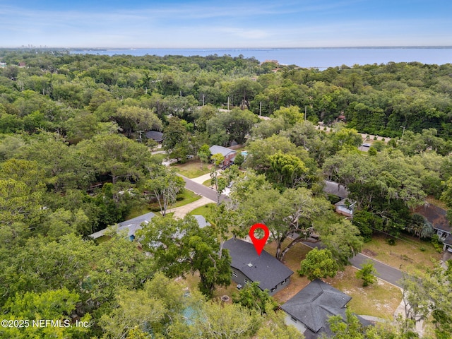 2520 Elbow Rd, Orange Park, FL 32073 - view of property location featuring a forest and a large body of water