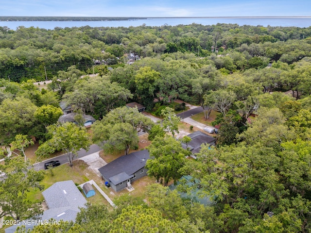 2520 Elbow Rd, Orange Park, FL 32073 - aerial view of a forest and a nearby body of water