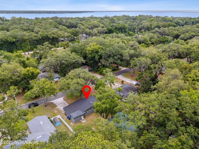 2520 Elbow Rd, Orange Park, FL 32073 - aerial overview of property's location with a forest and a nearby body of water
