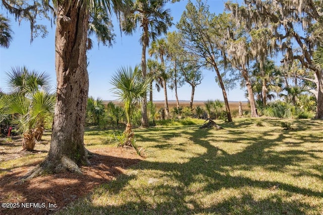 3429 Sea Marsh Rd, Fernandina Beach, FL 32034 - view of grassy yard