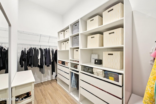 210 Terra Oaks Dr, Saint Johns, FL 32259 - walk in closet with light wood-style flooring
