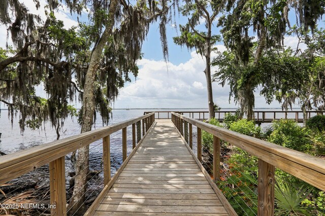 210 Terra Oaks Dr, Saint Johns, FL 32259 - dock with a water view