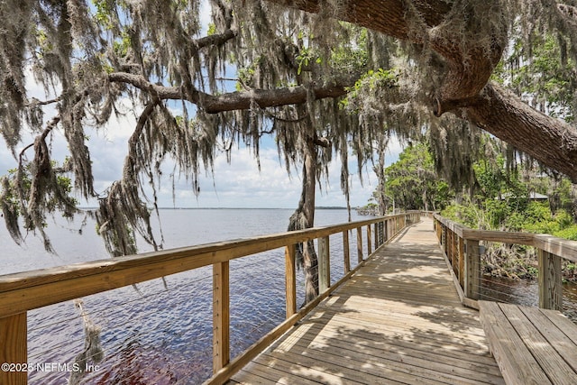 210 Terra Oaks Dr, Saint Johns, FL 32259 - dock featuring a water view
