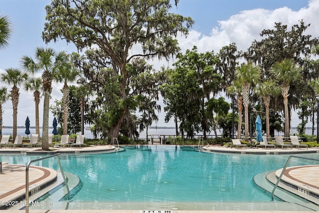 210 Terra Oaks Dr, Saint Johns, FL 32259 - view of community pool