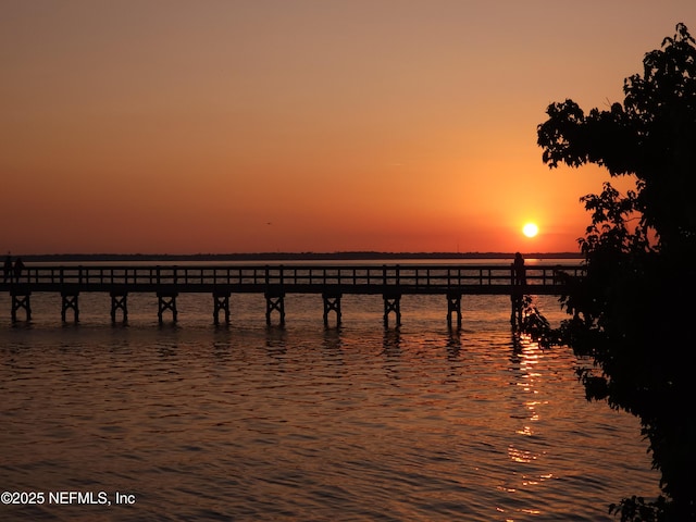 210 Terra Oaks Dr, Saint Johns, FL 32259 - water view