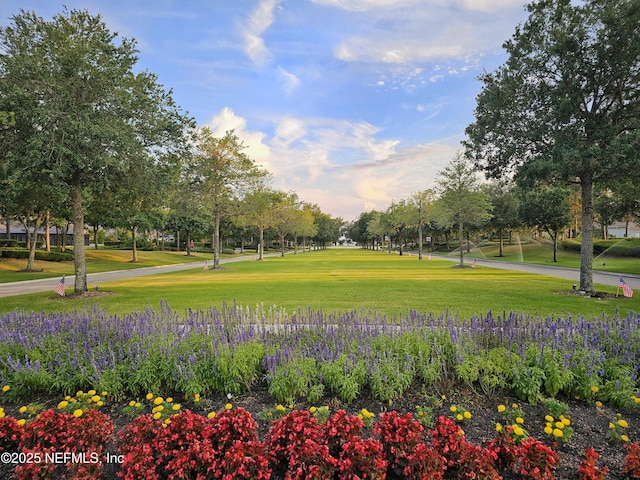 210 Terra Oaks Dr, Saint Johns, FL 32259 - view of community featuring a yard