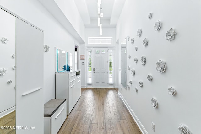 210 Terra Oaks Dr, Saint Johns, FL 32259 - entrance foyer with light wood-style floors and a high ceiling