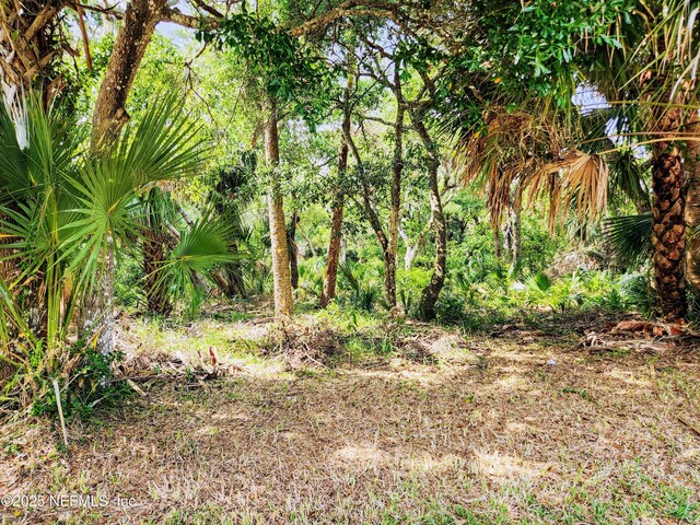 31 Deerwood St, Palm Coast, FL 32137 - photo 13