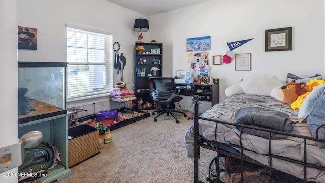 128 Nighthawk Ln, Palm Coast, FL 32164 - photo 20