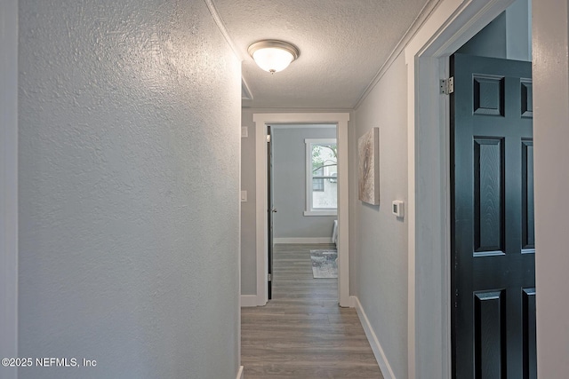 304 Lawton Ave, Jacksonville, FL 32208 - hall with a textured ceiling, wood finished floors, baseboards, and a textured wall