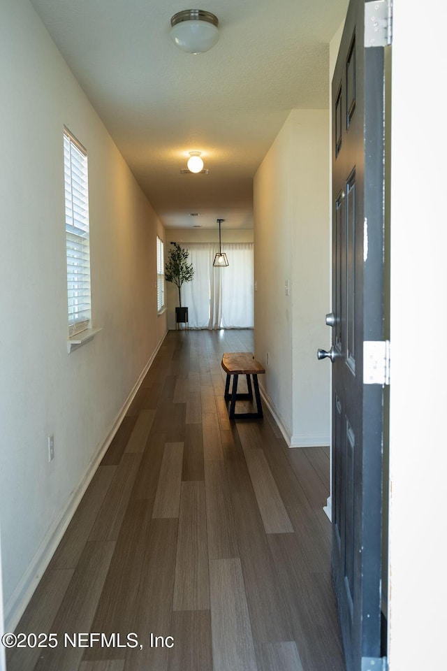 1863 Maxine Branch Way, Jacksonville, FL 32218 - hall with baseboards and dark wood-type flooring