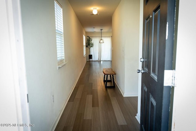 1863 Maxine Branch Way, Jacksonville, FL 32218 - hall featuring dark wood-type flooring and baseboards
