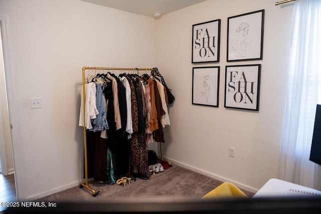 1863 Maxine Branch Way, Jacksonville, FL 32218 - spacious closet featuring carpet floors