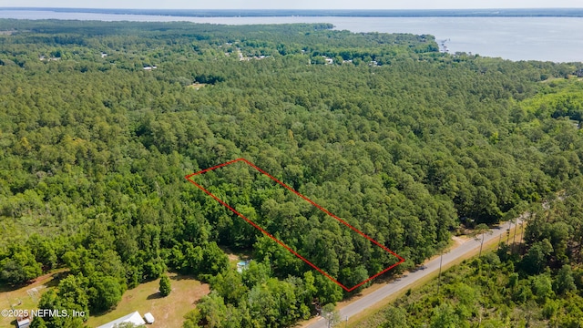 0 Bridgeport Rd, Palatka, FL 32177 - photo 1