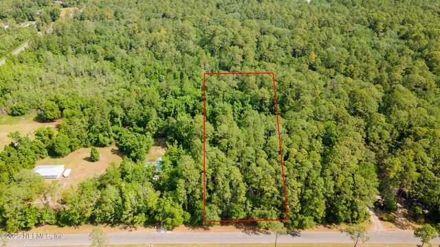 0 Bridgeport Rd, Palatka, FL 32177 - photo 3