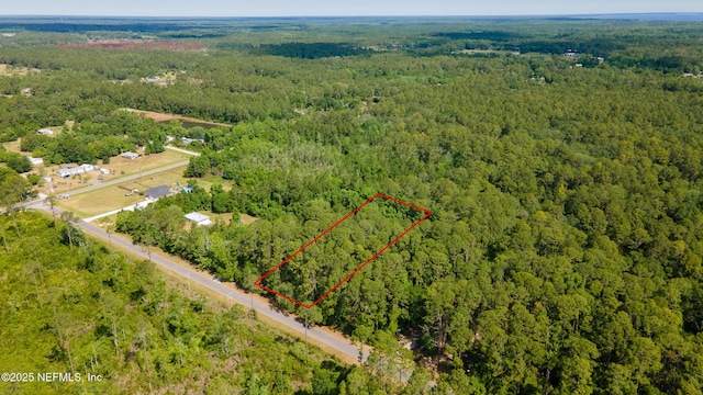 0 Bridgeport Rd, Palatka, FL 32177 - photo 4