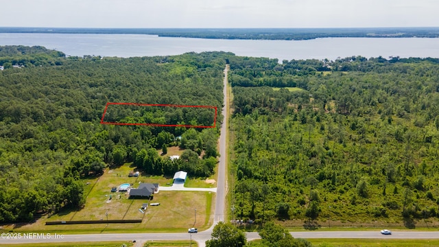 0 Bridgeport Rd, Palatka, FL 32177 - photo 5