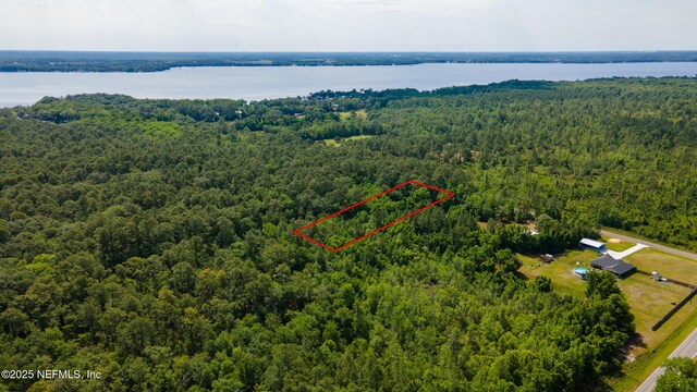 0 Bridgeport Rd, Palatka, FL 32177 - photo 6