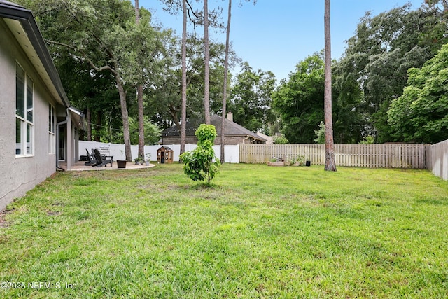 100 Bracken Ct, Saint Johns, FL 32259 - view of yard featuring a patio and view of scattered trees
