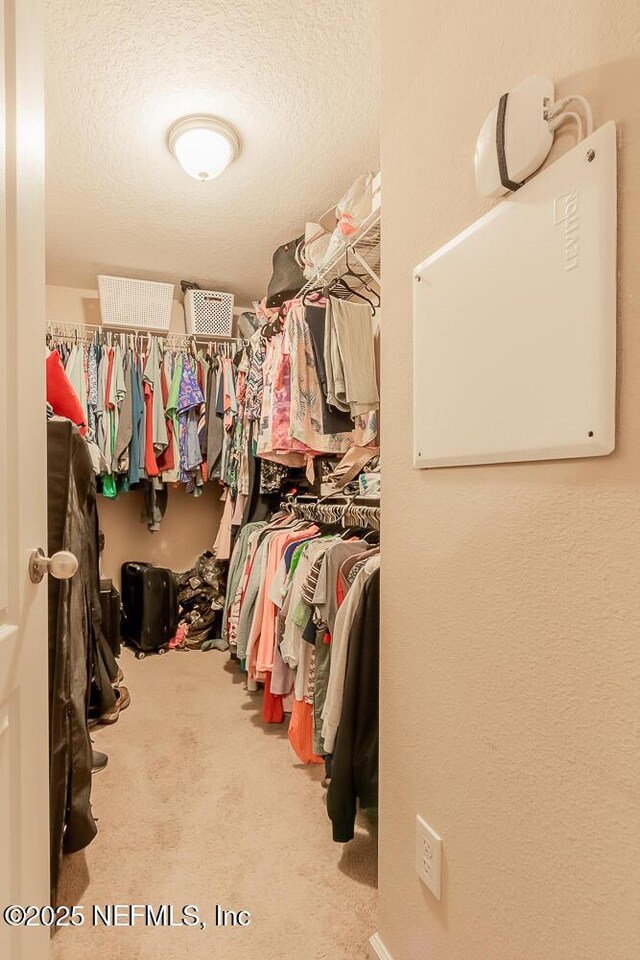 spacious closet with carpet flooring