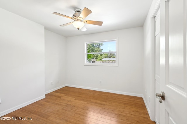 465 Fox Ln, Orange Park, FL 32073 - photo 17