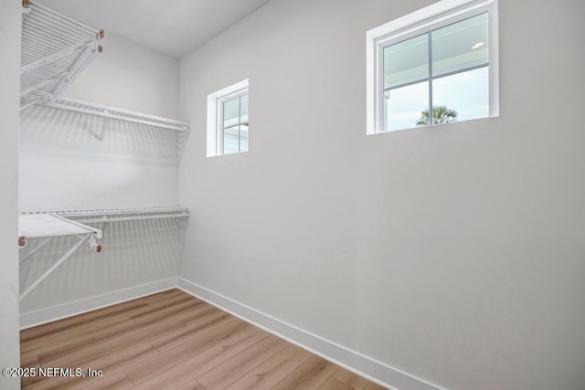 walk in closet featuring wood finished floors