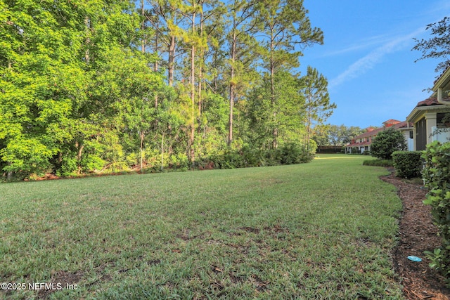 3775 Casitas Dr, Jacksonville, FL 32224 - photo 34