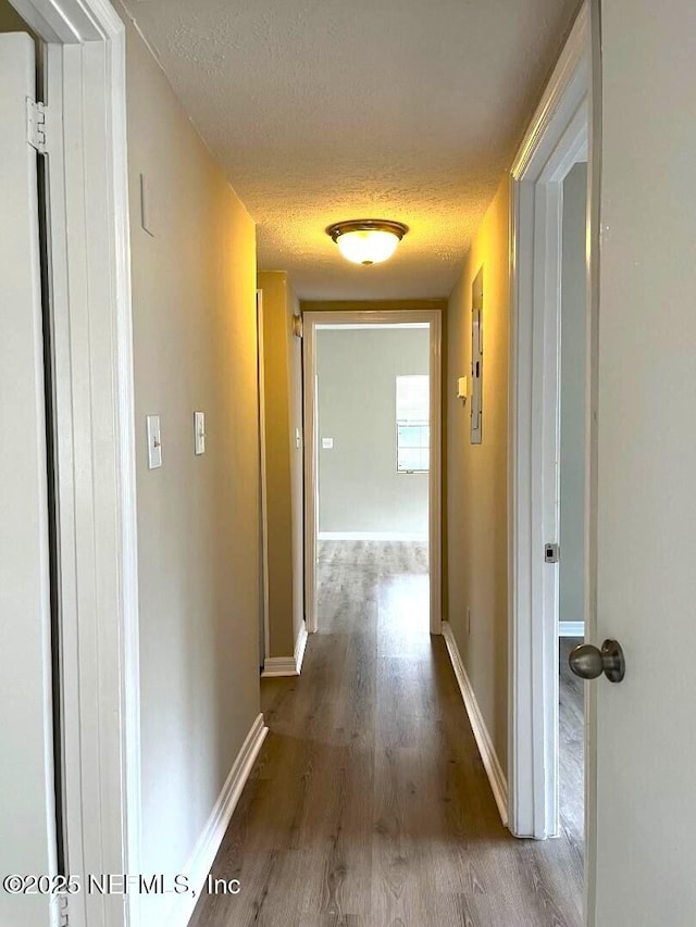 10258 Elmhurst Dr, Jacksonville, FL 32218 - hall featuring a textured ceiling, wood finished floors, and baseboards