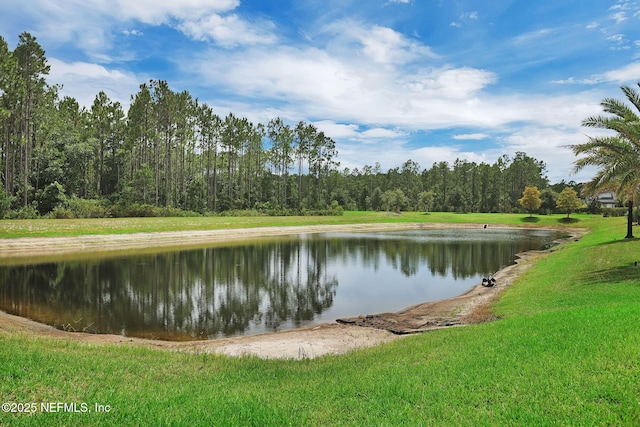 94 Anthem Ridge Dr, Ponte Vedra, FL 32081 - water view featuring a forest