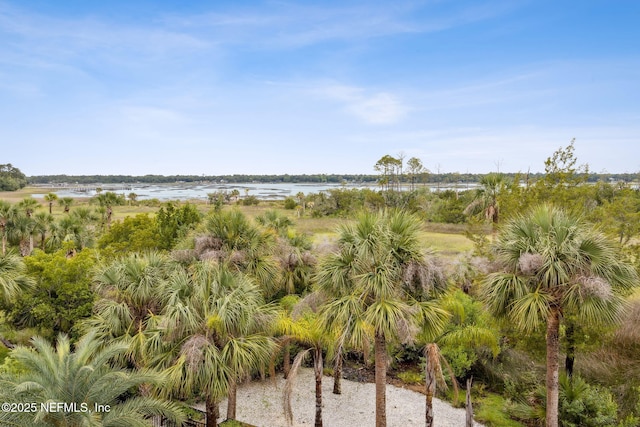 96321 Bay View Dr, Fernandina Beach, FL 32034 - view of local wilderness with a large body of water