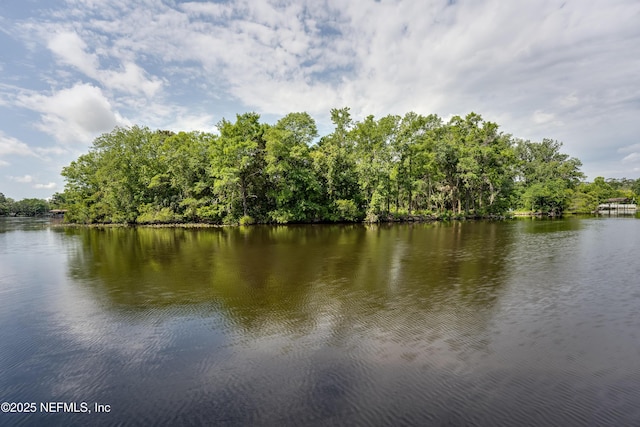 5476 Waterside Dr, Jacksonville, FL 32210 - water view