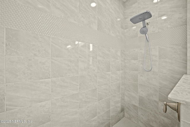 107 Park Lake Dr, Ponte Vedra, FL 32081 - bathroom view of tiled shower