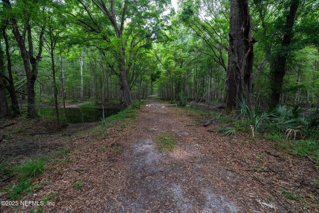 8549 Acree Rd, Jacksonville, FL 32219 - photo 7