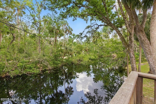 1418 Palm St NE, Steinhatchee, FL 32359 - water view
