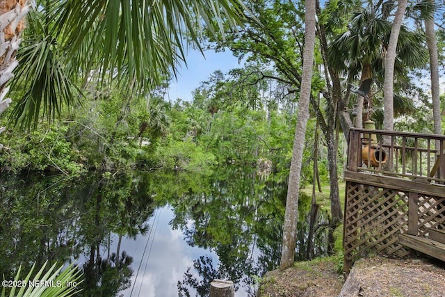 1418 Palm St NE, Steinhatchee, FL 32359 - exterior space