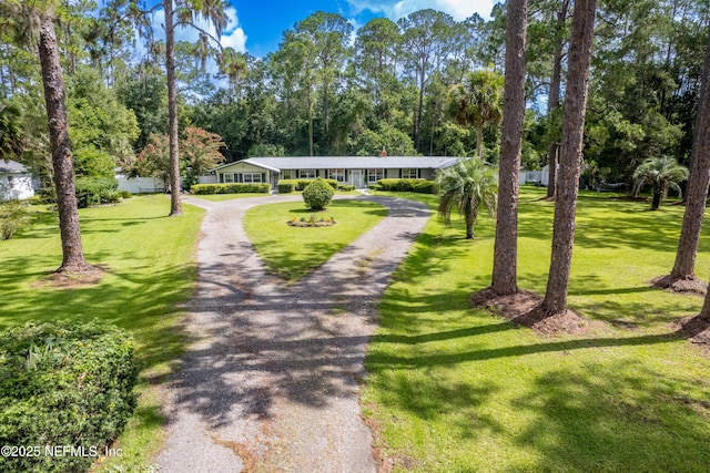 1525 E Call St, Starke, FL 32091 - view of property's community with gravel driveway, a yard, and view of wooded area