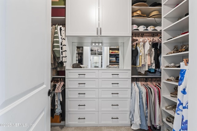view of spacious closet