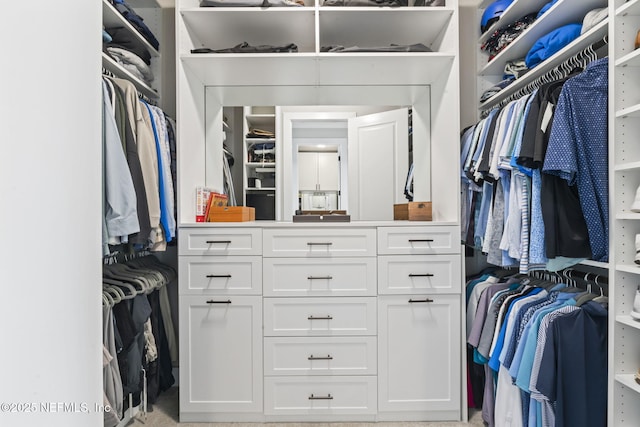 view of walk in closet