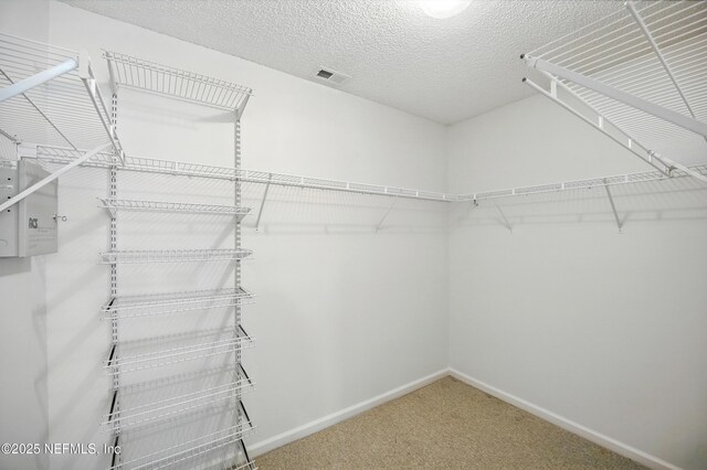 4006 Glenhurst Dr N, Jacksonville, FL 32224 - photo 22