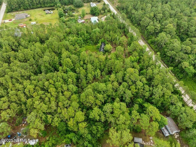 1756 Hazelnut St, Bunnell, FL 32110
